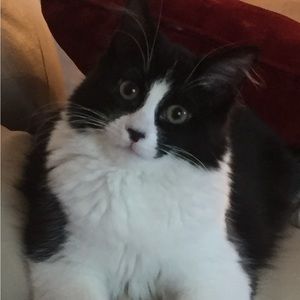 Meet your Posher, Debbie